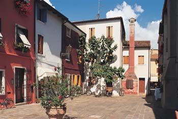 Image Image